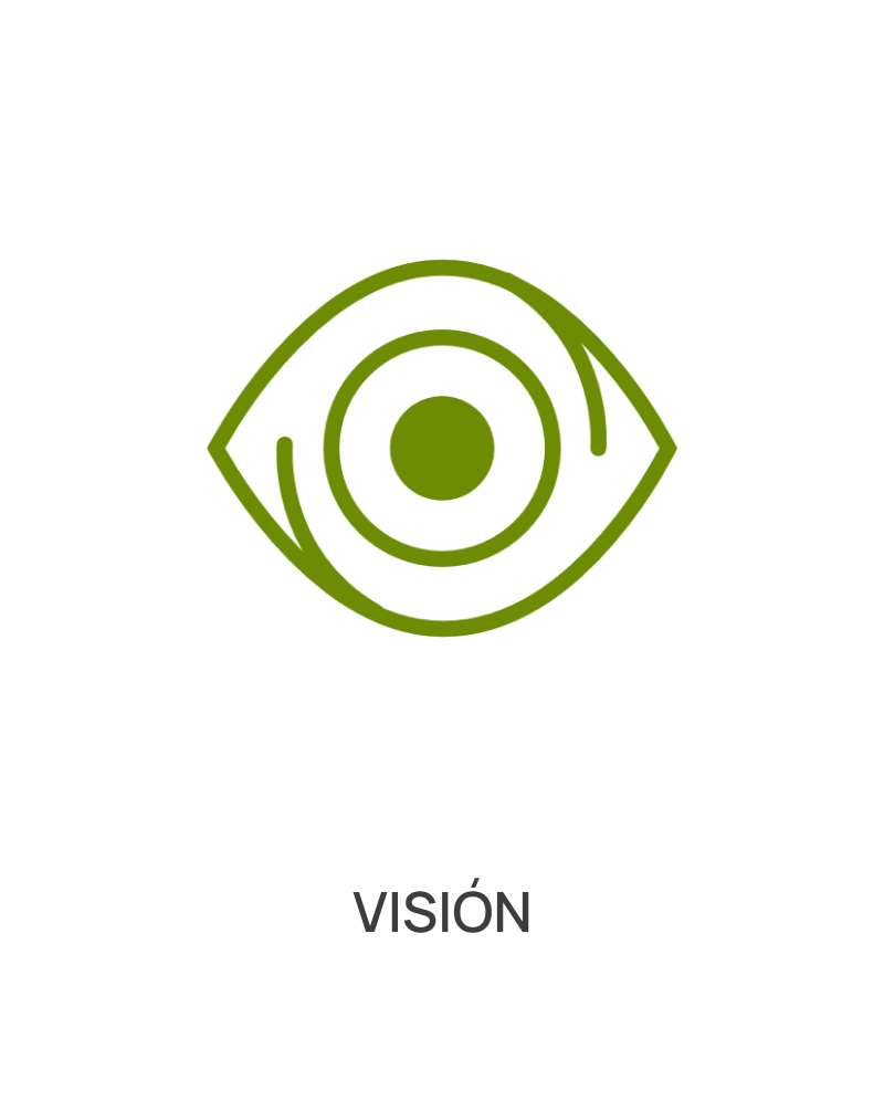 icon vision